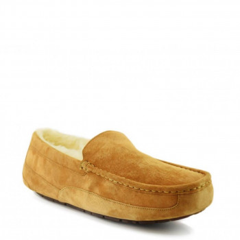 Мужские UGG Ascot Chestnut Мужские UGG Ascot Chestnut
